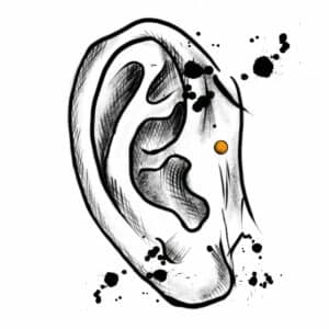 Dermal anchor ohr 300x300